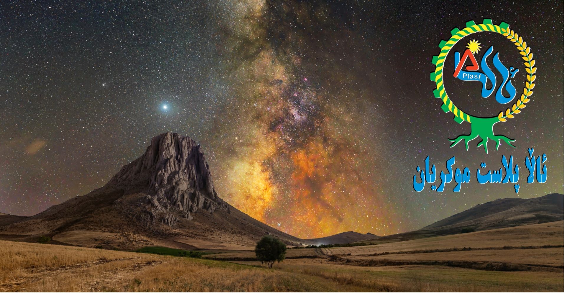 محصولات پرفروش